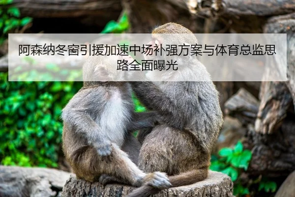 阿森纳冬窗引援加速中场补强方案与体育总监思路全面曝光